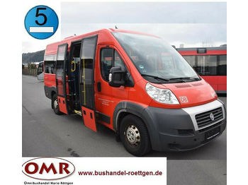 Minibuss, Persontransport Fiat Ducato MAXI 40 / Sprinter / Crafter / Transit: bilde 1