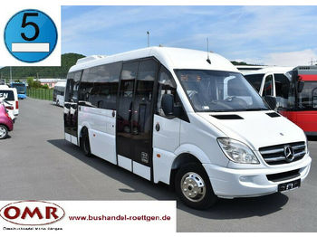Minibuss, Persontransport Mercedes-Benz 516 CDI Sprinter/komplett saniert/Crafter: bilde 1