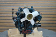 Motor for Minigraver KOMATSU 3D67: bilde 4