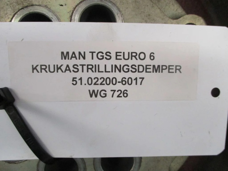 Motor og deler for Lastebil MAN TGS 51.02200-6017 KRUKASTRILLINGSDEMPER EURO 6: bilde 2