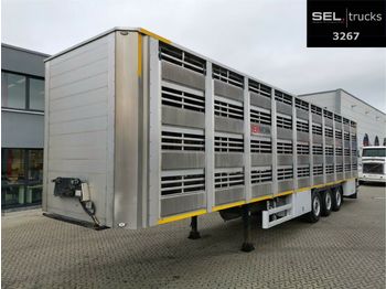 Pezzaioli CIMC / SR03 / 4 Stock / Typ 2 / Ferkeltransporte  - Dyretransport semitrailer