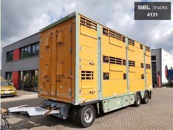 Pezzaioli RBA31 / Hubdach / 3 Stock  - Dyretransport tilhenger