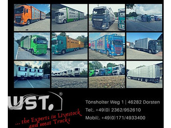 Trekkvogn MAN TGX 18.480 FSA / 4x2 BLS XXL Sehr sauber