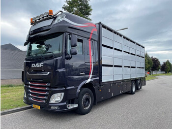 DAF XF 460 2017 berdex 3 lagen varkens - Dyretransport lastebil: bilde 1