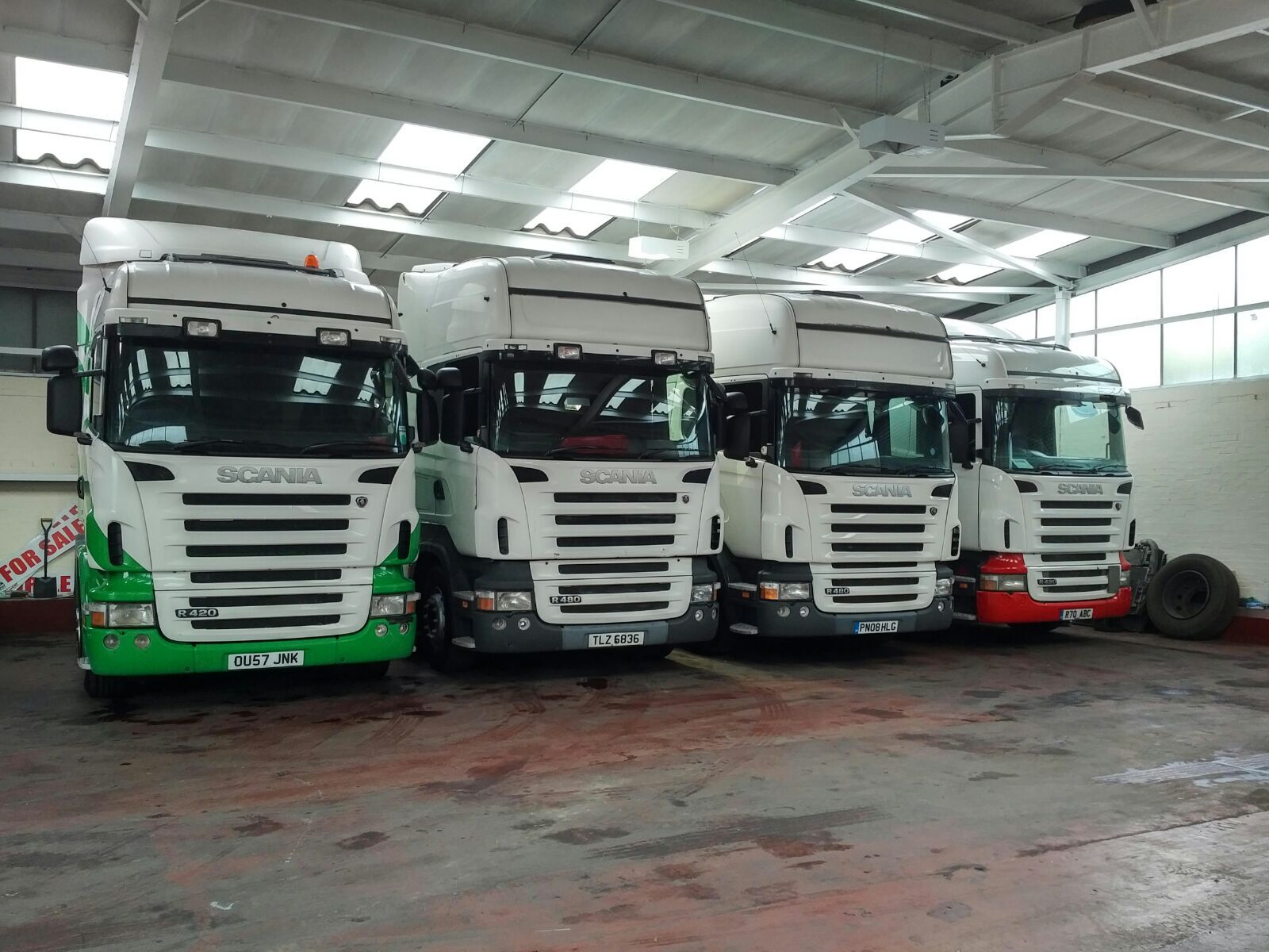 Steer Commercials Sales & Exports Ltd undefined: bilde 2