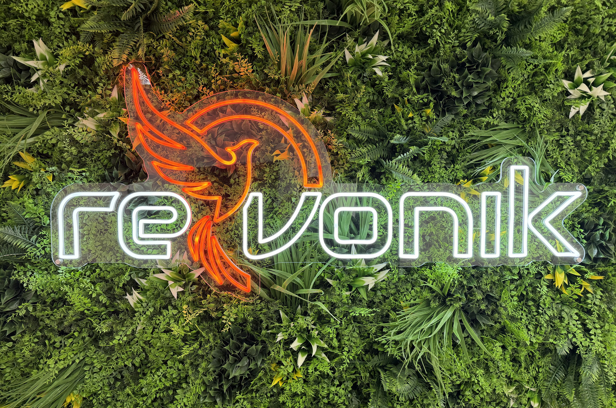 Revonik GmbH - Til salgs undefined: bilde 2