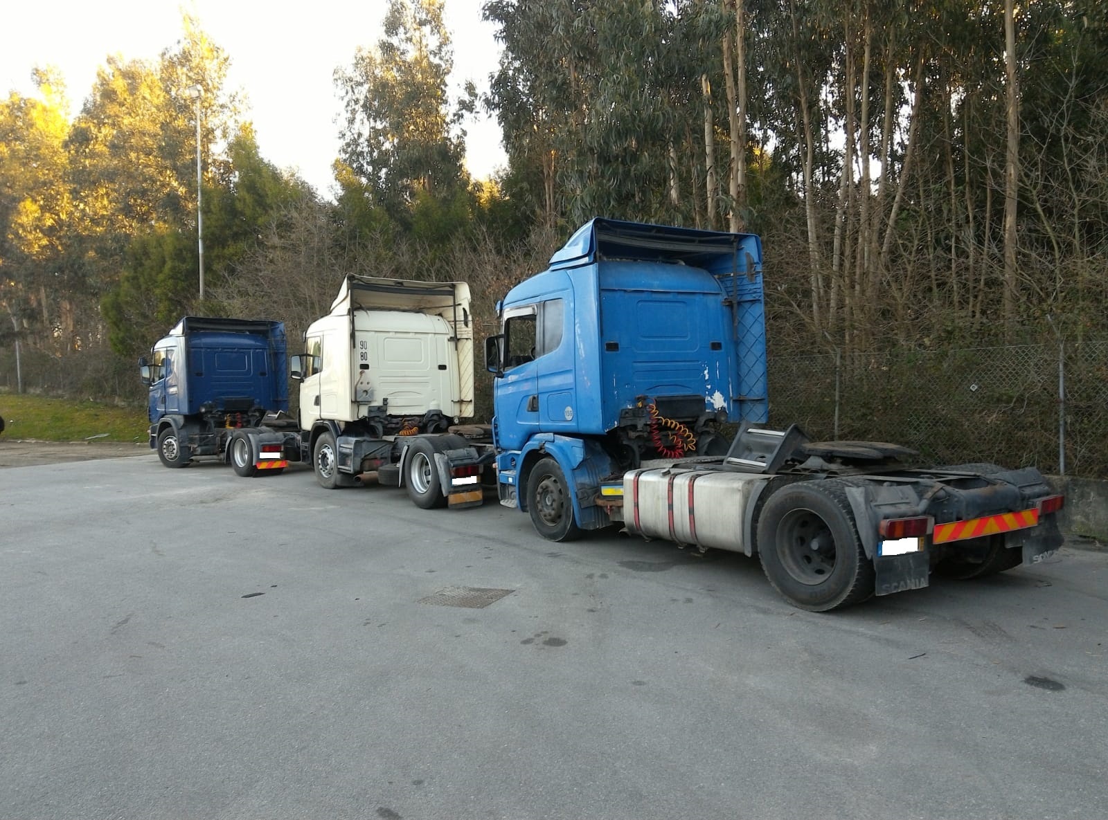 Britannia Export Consultants Limited undefined: bilde 17
