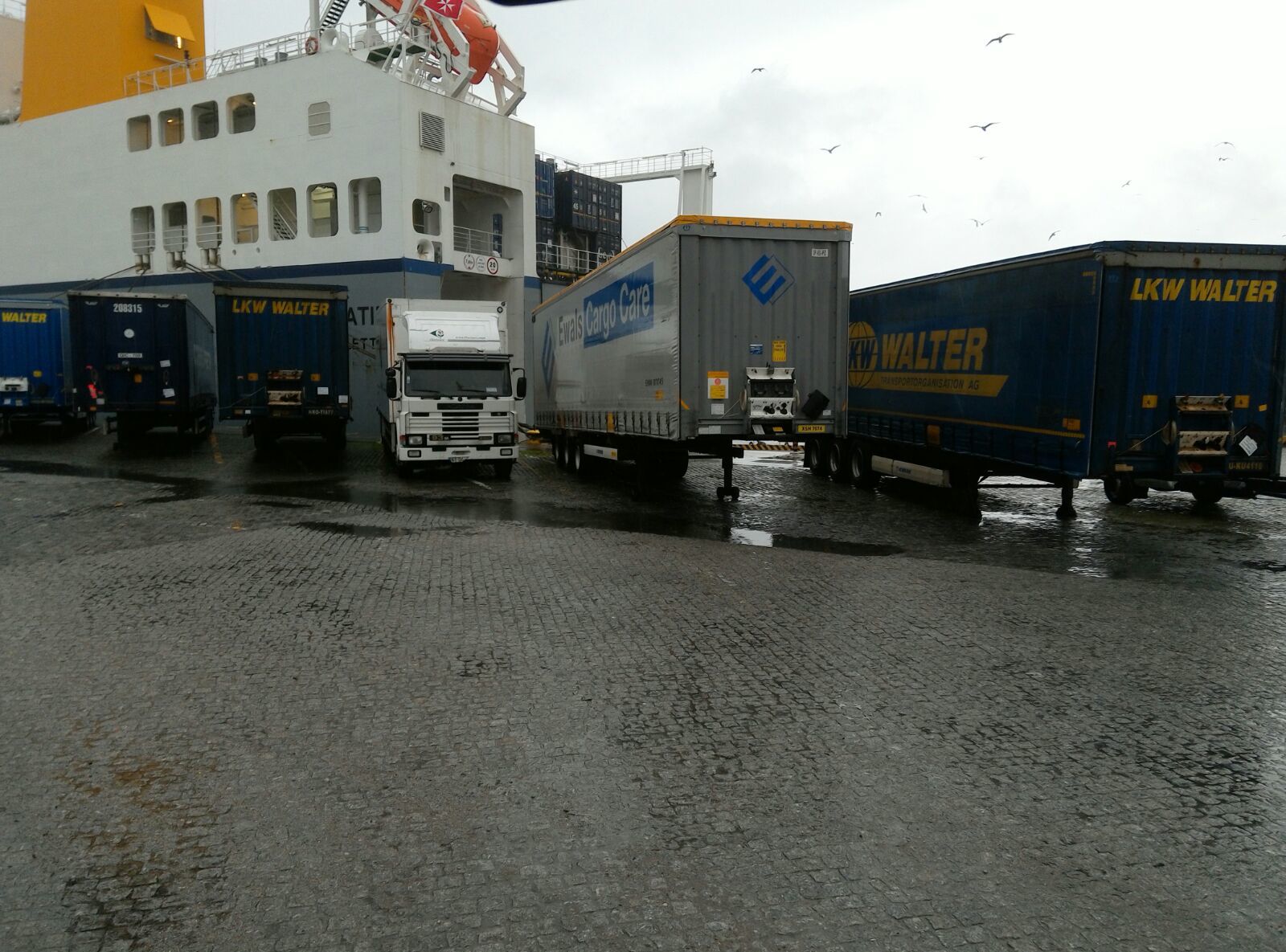 Britannia Export Consultants Limited undefined: bilde 18
