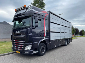 Dyretransport lastebil DAF XF 460