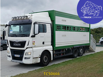 Dyretransport lastebil MAN TGX