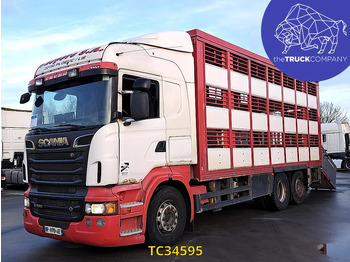 Dyretransport lastebil SCANIA R 500