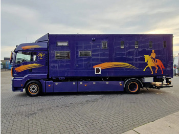 Leie MAN TGA 18.360 4x2 - Horse truck + full camper - 4 seats - Loadramp - Automatic gearbox MAN TGA 18.360 4x2 - Horse truck + full camper - 4 seats - Loadramp - Automatic gearbox: bilde 5 Leie MAN TGA 18.360 4x2 - Horse truck + full camper - 4 seats - Loadramp - Automatic gearbox MAN TGA 18.360 4x2 - Horse truck + full camper - 4 seats - Loadramp - Automatic gearbox: bilde 5