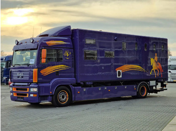 Leie MAN TGA 18.360 4x2 - Horse truck + full camper - 4 seats - Loadramp - Automatic gearbox MAN TGA 18.360 4x2 - Horse truck + full camper - 4 seats - Loadramp - Automatic gearbox: bilde 4 Leie MAN TGA 18.360 4x2 - Horse truck + full camper - 4 seats - Loadramp - Automatic gearbox MAN TGA 18.360 4x2 - Horse truck + full camper - 4 seats - Loadramp - Automatic gearbox: bilde 4