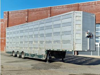 Dyretransport semitrailer Pezzaioli 5 deck livestock trailer - Water & Ventilation - Loadlift - Folding floors - BPW Axle - 155M3: bilde 2 Dyretransport semitrailer Pezzaioli 5 deck livestock trailer - Water & Ventilation - Loadlift - Folding floors - BPW Axle - 155M3: bilde 2