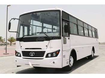 Buss