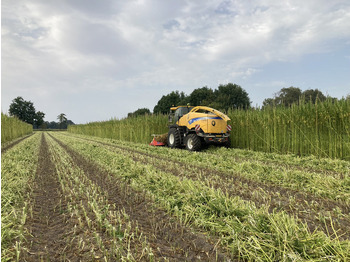 Forhøster for transport av matvarer New Holland FR9060 for hemp harvest hemp harvester: bilde 4 Forhøster for transport av matvarer New Holland FR9060 for hemp harvest hemp harvester: bilde 4