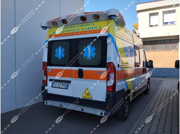 Leie ORION FIAT 290 DUCATO ORION FIAT 290 DUCATO: bilde 2