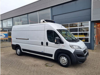 Kjølebil FIAT Ducato Maxi