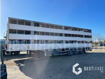 Leie SAMRO ST39WG SAMRO ST39WG: bilde 1