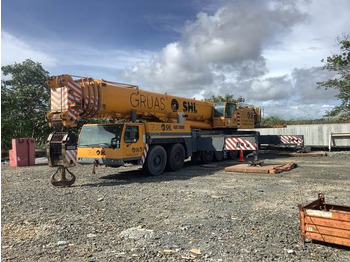 Allterrengkran LIEBHERR