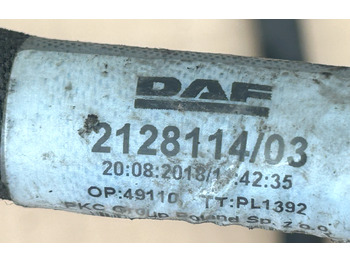 Kabel/ Ledninger DAF XF 106 CHASSIS MAIN ELECTRICAL HARNESS: bilde 5