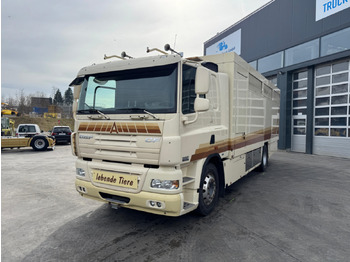 Dyretransport lastebil DAF CF 410