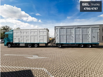Dyretransport lastebil DAF XF 105 460