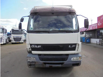 Leie DAF LF 220 DAF LF 220: bilde 2