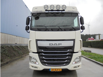 Trekkvogn DAF XF 460: bilde 2
