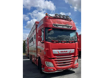 Dyretransport lastebil DAF XF 530