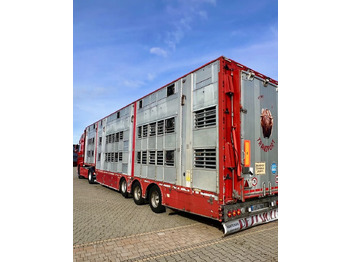 Leie  Pezzaioli NACZEPA  2017 / 3 POZIOMY / TRANSPORT ZWIERZĄT / HYDRAULIKA / STEROWANIE PILOTEM/ PODNOSZONY DACH / Pezzaioli NACZEPA  2017 / 3 POZIOMY / TRANSPORT ZWIERZĄT / HYDRAULIKA / STEROWANIE PILOTEM/ PODNOSZONY DACH /: bilde 1