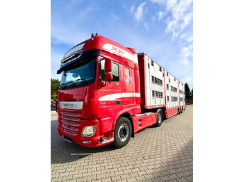 Leie  Pezzaioli NACZEPA  2017 / 3 POZIOMY / TRANSPORT ZWIERZĄT / HYDRAULIKA / STEROWANIE PILOTEM/ PODNOSZONY DACH / Pezzaioli NACZEPA  2017 / 3 POZIOMY / TRANSPORT ZWIERZĄT / HYDRAULIKA / STEROWANIE PILOTEM/ PODNOSZONY DACH /: bilde 5