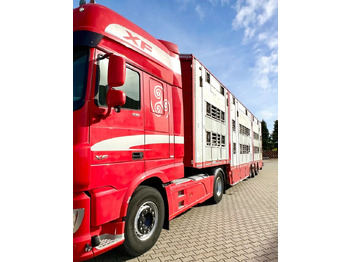 Leie  Pezzaioli NACZEPA  2017 / 3 POZIOMY / TRANSPORT ZWIERZĄT / HYDRAULIKA / STEROWANIE PILOTEM/ PODNOSZONY DACH / Pezzaioli NACZEPA  2017 / 3 POZIOMY / TRANSPORT ZWIERZĄT / HYDRAULIKA / STEROWANIE PILOTEM/ PODNOSZONY DACH /: bilde 4