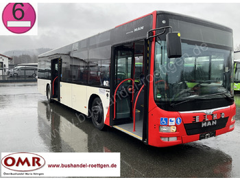Bybuss MAN Lion's City A37