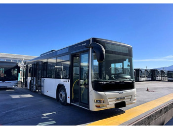 Bybuss MAN Lion's City