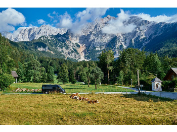 Ny Bybobil Bravia Swan 599 Nordic: bilde 5 Ny Bybobil Bravia Swan 599 Nordic: bilde 5