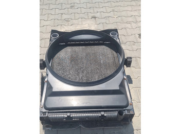 Radiator for Lastebil RENAULT CHŁODNICA WODY OSŁONA RENAULT PREMIUM 2 KERAX LANDER DXI: bilde 2