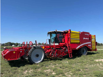 Potethøster GRIMME