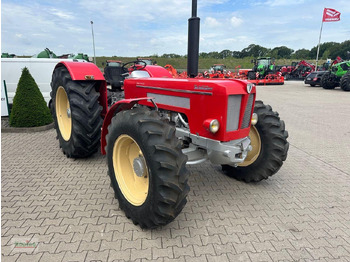 Traktor Schlüter Schlüter V 1250: bilde 4