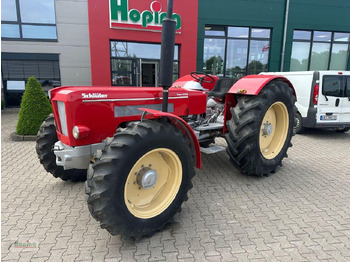 Traktor Schlüter Schlüter V 1250: bilde 2