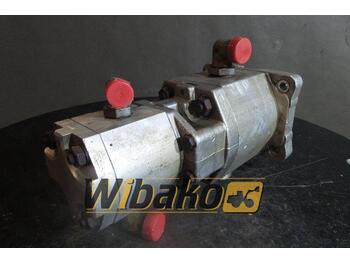 Hydraulisk pumpe for Bygg og anlegg Hydraulic pump 09010197: bilde 2