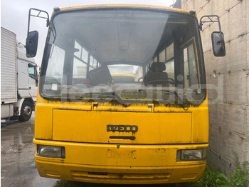 Skolebuss IVECO