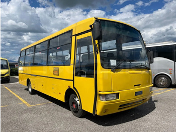 Skolebuss IVECO