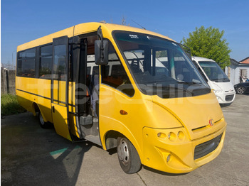 Skolebuss IVECO