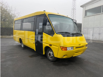 Skolebuss IVECO