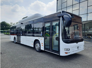 Bybuss MAN Lion's City A21