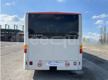 Leie  Mercedes-Benz Citaro Mercedes-Benz Citaro: bilde 5