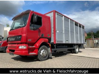 Dyretransport lastebil DAF LF 55 Einstock KABA: bilde 1