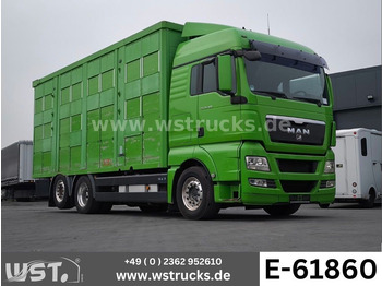 Hestebil MAN TGX XL