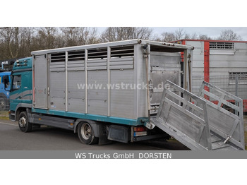 Hestebil Mercedes-Benz Atego 1223 1 Stock Hohe Gitter Viehtransporter: bilde 5 Hestebil Mercedes-Benz Atego 1223 1 Stock Hohe Gitter Viehtransporter: bilde 5